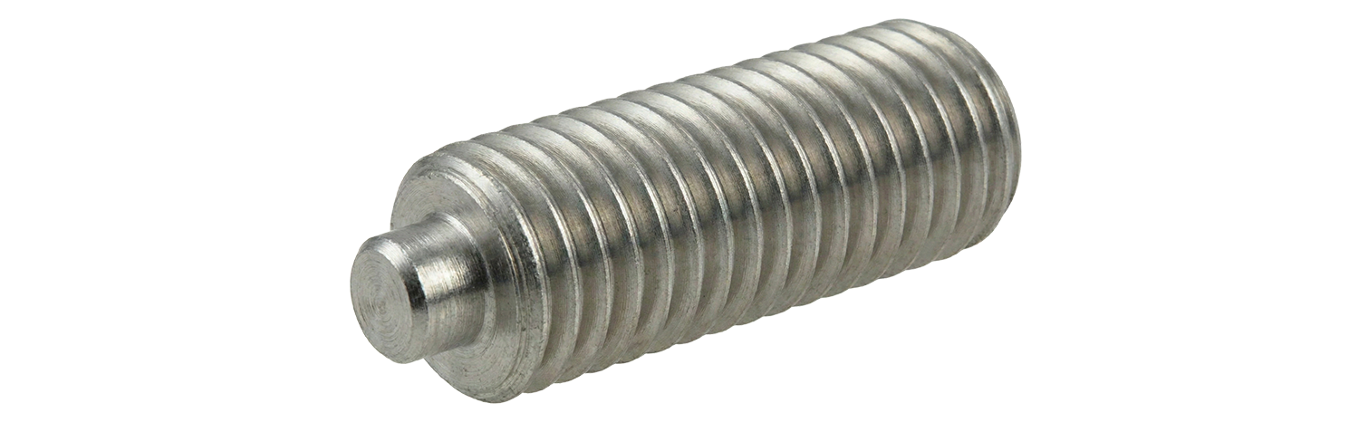 犬先のイメージ